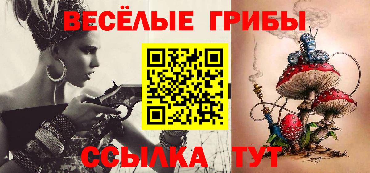 Владикавказ  Псилоцибиновые грибы Psilocybe  Вход с VPN 